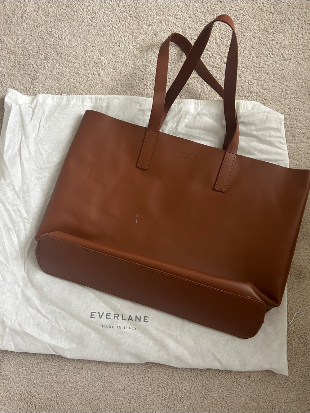 Everlane Chestnut Leather Everyday Tote